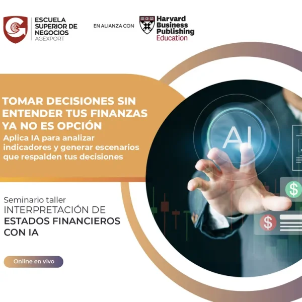Seminario de interpretación de estados financieros con IA