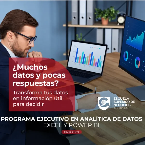 EJECUTIVO EN ANALÍTICA DE DATOS