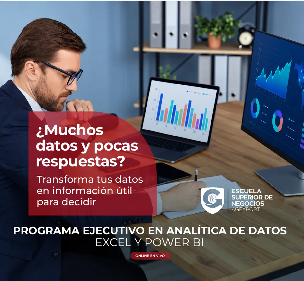 EJECUTIVO EN ANALÍTICA DE DATOS