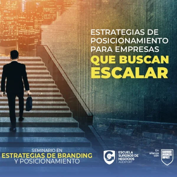 ESTRATEGIAS DE BRANDING Y POSICIONAMIENTO