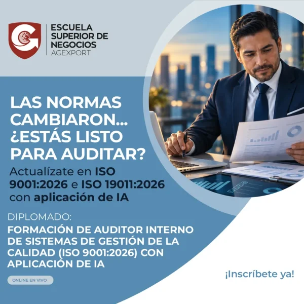 FORMACIÓN DE AUDITOR INTERNO DE SISTEMAS DE GESTIÓN DE LA CALIDAD