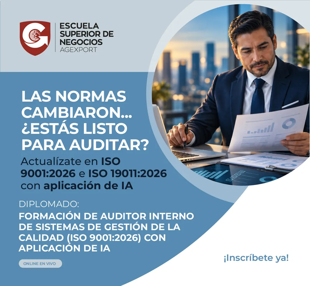 FORMACIÓN DE AUDITOR INTERNO DE SISTEMAS DE GESTIÓN DE LA CALIDAD